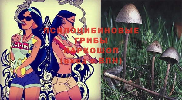твердый Абаза