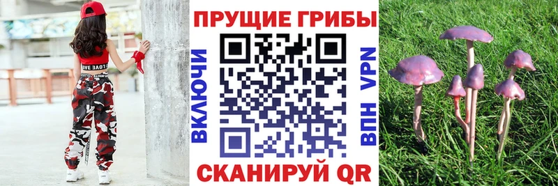 купить   Инта  Галлюциногенные грибы MAGIC MUSHROOMS 